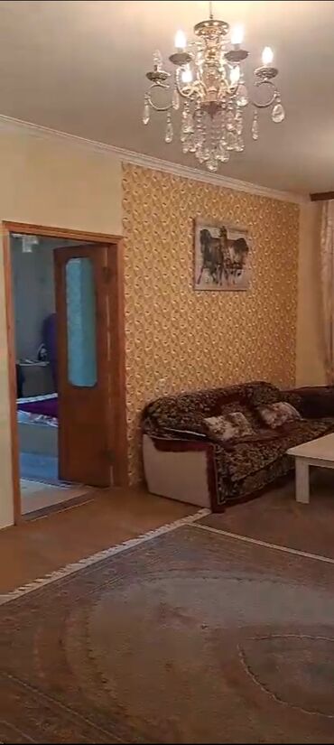 Torpaq sahələrinin satışı: 50 sot, Kənd təsərrüfatı — 13