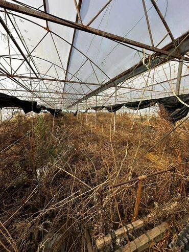 Kommersiya daşınmaz əmlakının satışı: Abseron Rayonu Məhəmmədli Qəsəbəsində Parnik satilir. Torpaq sahəsi 60 -da lalafo.az — 4 Kommersiya daşınmaz əmlakının satışı: Abseron Rayonu Məhəmmədli Qəsəbəsində Parnik satilir. Torpaq sahəsi 60 — 4