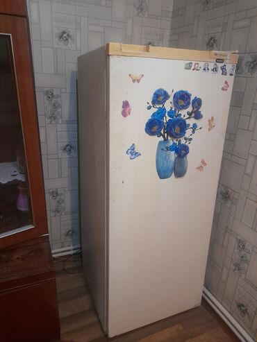 1 qapılı Cinar Soyuducu Satılır, rəng - Ağ