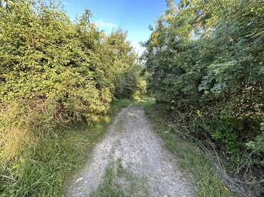 Kirayə torpaq sahələri: Kənd təsərrüfatı -da lalafo.az — 7 Kirayə torpaq sahələri: Kənd təsərrüfatı — 7