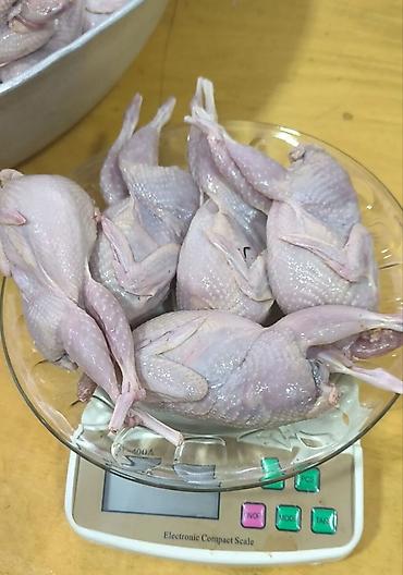 Digər quşlar: Bildirçin satışı✅. ev şəraitində saxlanılmış bildirçinlər ferma — 7