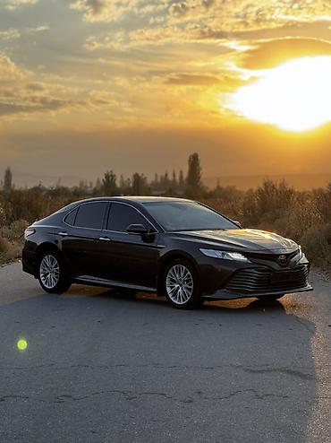бюджетные авто: Toyota Camry: 2019 г., 2.5 л, Автомат, Бензин, Седан — 1