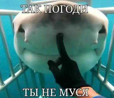 электрик нарын: Панфиловский район, село Кайнда 1кв/м=75сом, помоем чисто красиво и — 1