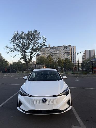 Changan: Changan Eado Plus: 2025 г., Автомат, Электромобиль, Седан — 8