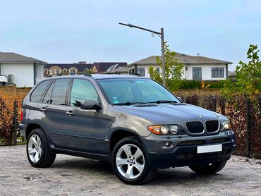 BMW: BMW X5: 2004 г., 3 л, Автомат, Бензин, Кроссовер