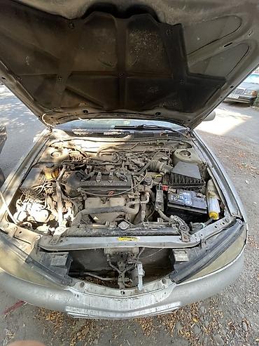 maxima j30: Nissan Primera: 1999 г., Механика, Бензин, Седан — 4
