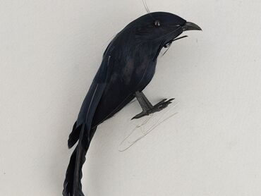 Figurine, condition - Perfect