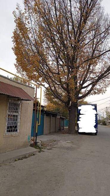 купить бу кровать с матрасом: Продам дерево дуба 
обхват ствола 2.30
длина до первой ветки 2.70