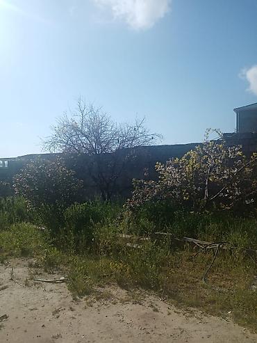 afrem evler: 4 otaqlı, 146 kv. m — 7