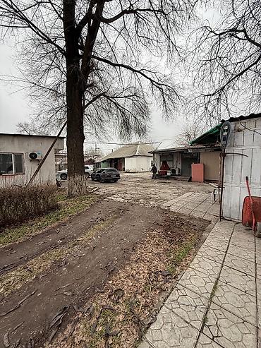 Продажа участков: 40 соток, Для бизнеса, Красная книга — 4