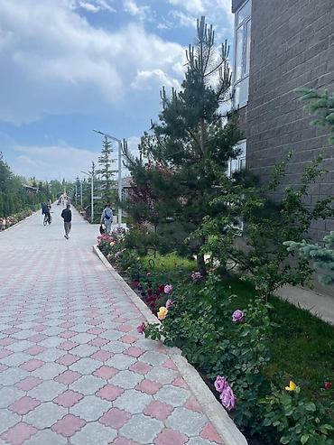 Долгосрочная аренда квартир: 2 комнаты, С мебелью полностью — 20