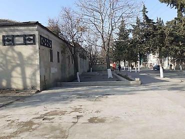 kiraye evler gəncə: Obyekt tovuz şəhəri h. Aslanov küçəsində (mərkəzdə) yerləşir. 500 metr — 8