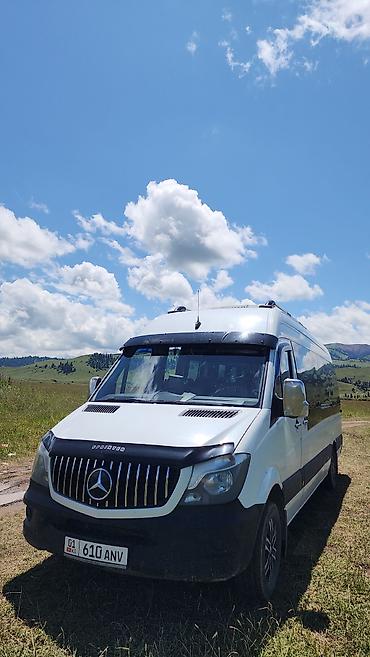 sprinter 516: Пункт назначения: Алматы, Количество мест: 20, Лицензия №: 247383 — 1