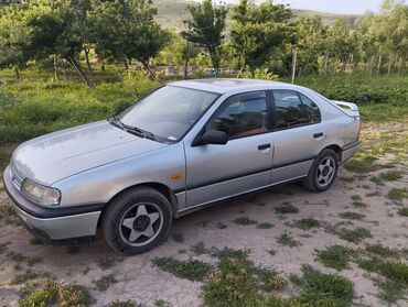 alfa romeo 164 2 mt: Nissan Primera: 1991 г., 2 л, Механика, Бензин, Хетчбек
