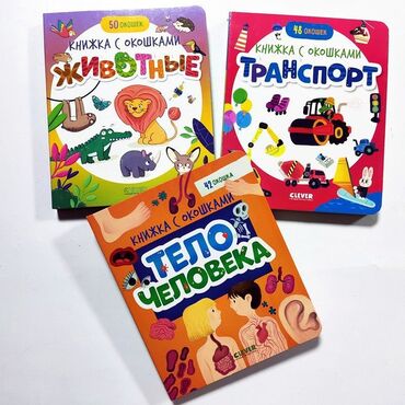 кыргыз тили 5 класс а к койлубаева жооптору менен: Набор развивающих книжек с окошками CLEVER для малышей В комплекте 3