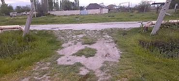 kiraye yolu ile satilan evler: Torpaq sahəsi – kənd təsərrüfatı və fərdi tikinti üçün əlverişli yer — 3
