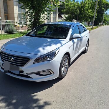 кара балта алексеевка: Каракол, Кордай КПП, По региону Такси, легковое авто | 4 мест