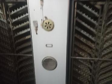 Инкубаторы: Промышленный инкубаторный комплекс для птицеводства. - Камерный — 2