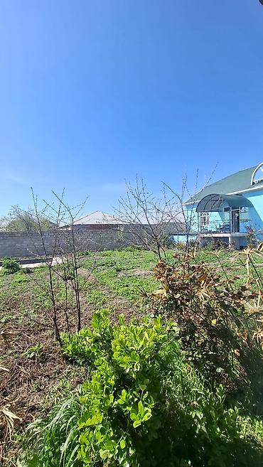 Həyət evləri və villaların satışı: 4 otaqlı, 175 kv. m, Kredit yoxdur, Yeni təmirli — 7
