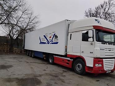 belarus 82: Тягач, DAF, 2012 г., Холодильник, рефрижератор — 4