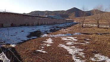 Продажа сельхоз предприятий: Ферма КРС, 25 соток, Действующий, С оборудованием, Электричество — 3