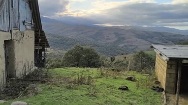 Həyət evləri və villaların satışı: Lerikin Noda kendinde. Heyet evi satilir. asfalta 2 degigelik yol — 5