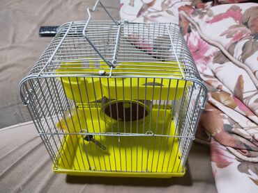 Qəfəslər: Hamster üçün qəfəs – çoxmərtəbəli, aksesuarlarla ki - Rəng — 6