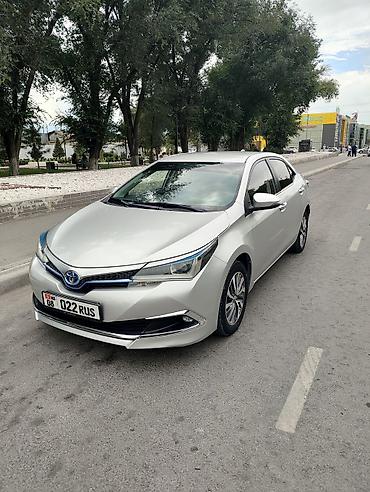 e53 amg: Toyota Corolla: 2020 г. — 3