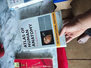 стол инверсионный: Цкна за каждую по 1000 сомов Атлас человеческой анатомии, 7‑е издание — 1