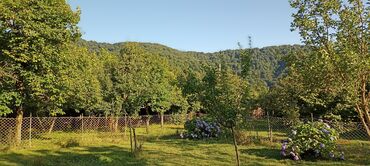 Uzunmüddətli kirayə mənzillər: Salam zaqatala car kendindedi ev internet qaz su her weyi var yolun -da lalafo.az — 6 Uzunmüddətli kirayə mənzillər: Salam zaqatala car kendindedi ev internet qaz su her weyi var yolun — 6