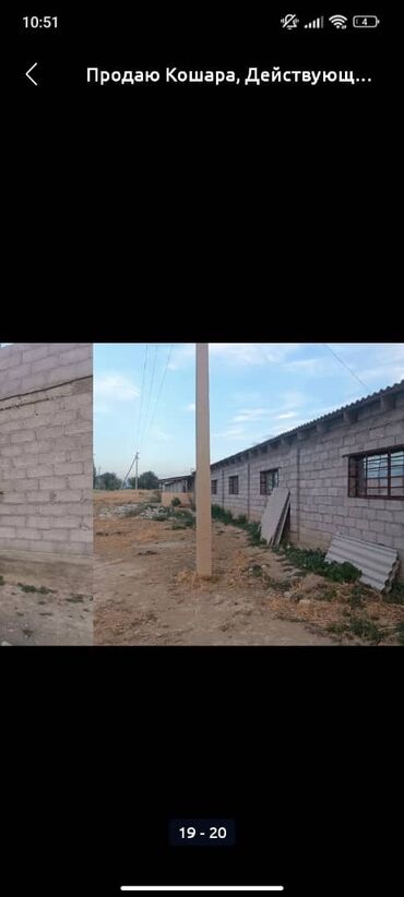 Сельхоз предприятия: Продаю Кошара, 50 соток, Действующий, Частично с оборудованием, Электричество, Канализация, Отопление at lalafo.kg — 17 Сельхоз предприятия: Продаю Кошара, 50 соток, Действующий, Частично с оборудованием, Электричество, Канализация, Отопление — 17