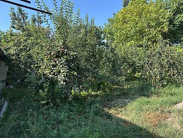 дом новопокровка: 🏡 ПРОДАЁТСЯ ПРОСТОРНЫЙ 7-КОМНАТНЫЙ ДОМ В НОВОПОКРОВКЕ! ✨ Отличный — 8