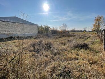 Torpaq sahələrinin satışı: Tikinti, Mülkiyyətçi, Kupça (Çıxarış) -da lalafo.az — 10 Torpaq sahələrinin satışı: Tikinti, Mülkiyyətçi, Kupça (Çıxarış) — 10