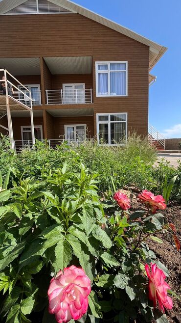 Иссык-Куль 2025: Коттедж, Манго лейк Бостери, Барбекю, Охраняемая территория, Парковка, стоянка — 14