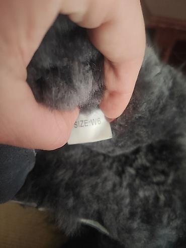 Ugg obuća: Ugg obuća 37, bоја - Siva — 2