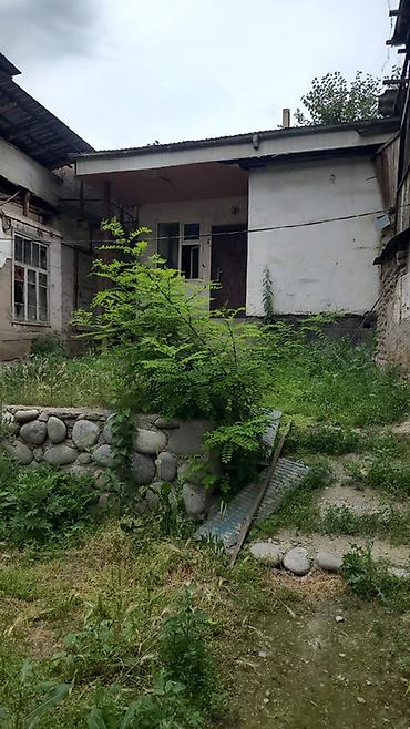 сниму пол дома: Дом с участком и воротами, отдельный въезд - Участок с зелёным двором — 2