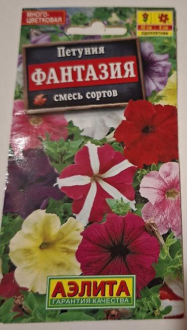 sokoladli gul buketi: Məhsul: AELITA markalı petuniya toxumları – rəngli qarışıqlar — 8