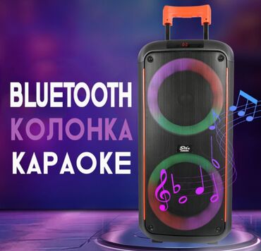 Другая бытовая техника: Портативная Bluetooth Караоке колонка ZQS8263 с микрофоном и пультом