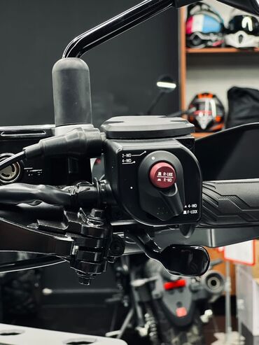 Квадроциклы: Квадроцикл Бензин, 1000 куб. см, Взрослый — 3