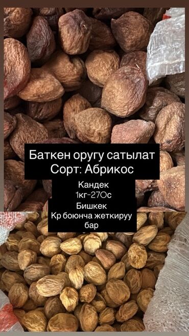 Дом и сад: Абрикосы В розницу