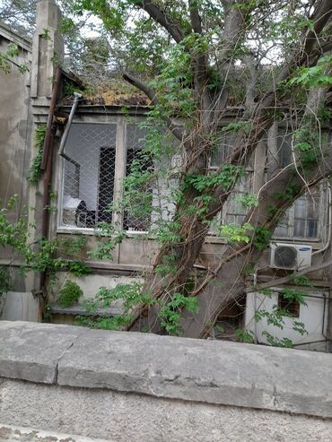 гянджа снять квартиру: Сдаю 1 комнатную квартиру в посёлке Баилово. 2-ой этаж,2-этажного