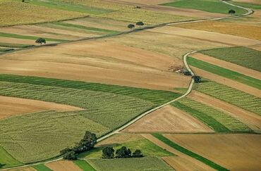 original kokoplacen kopca se kombinacija krz: 15 ares, Farming, Owner