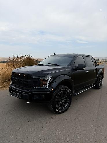 дуга для пикапа: Пикап Ford F-150 (стилизованный под Raptor) - Кузов: Crew Cab — 2