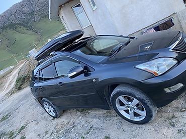 Lexus: Lexus RX: 2003 г., 3 л, Автомат, Газ, Кроссовер — 14