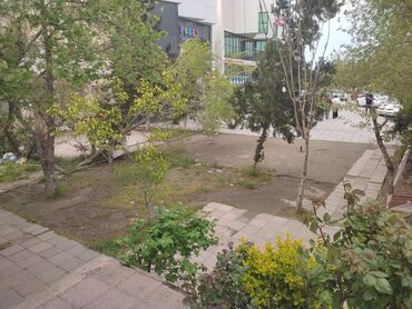 Kommersiya daşınmaz əmlakının satışı: Sumqayitda tecili obyekt satilir -da lalafo.az — 3 Kommersiya daşınmaz əmlakının satışı: Sumqayitda tecili obyekt satilir — 3