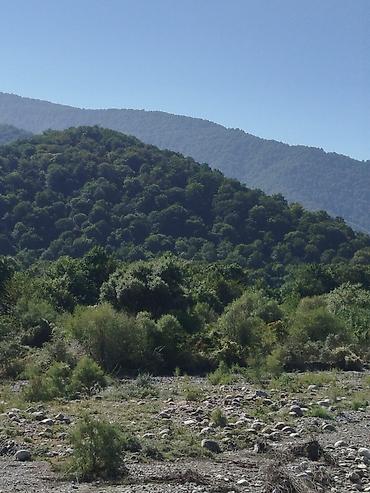 masazir yeni tikili: 🌿 ÇAY KƏNARINDA, MEŞƏYƏ YAXIN — İNVESTİSİYA VƏ YAŞAYIŞ ÜÇÜN ƏLA İMKAN! — 2
