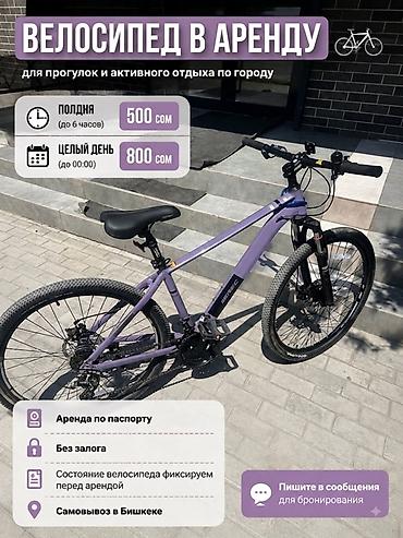 Аренда велосипеда, Городской