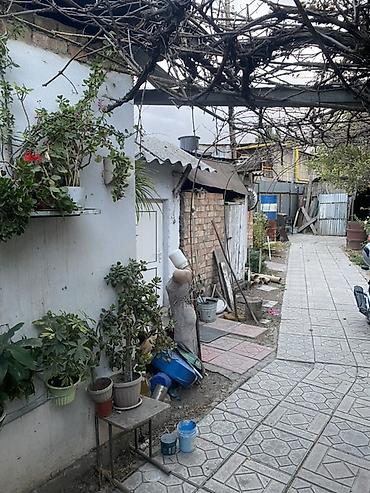 Продажа коттеджей и домов: Продаётся участок с домом . 📍УЧАСТОК ул. Дорожная (трасса на — 4