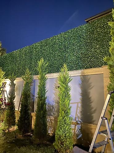 kələm gülü: 🌿 Yaşıl Hasar – Təbii Görünüş, Uzunömürlü Keyfiyyət! 🌿 🏗 Paslanmaz — 4