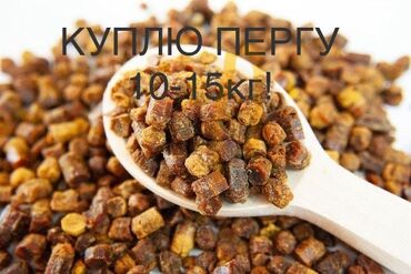 куплю мёд: КУПЛЮЮ!!! Куплю качественную пергу (пчелиный хлеб) 20к . Интересует